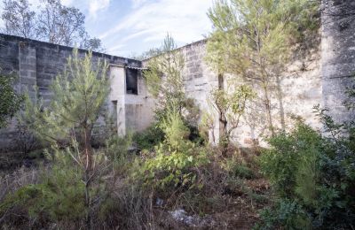 Landhaus kaufen Manduria, Via per Lecce km 2, Apulien, Foto 19/31