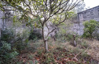 Landhaus kaufen Manduria, Via per Lecce km 2, Apulien, Foto 20/31