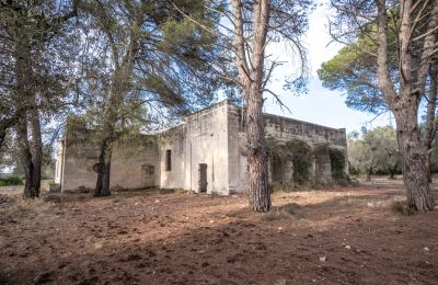 Landhaus kaufen Manduria, Via per Lecce km 2, Apulien, Foto 24/31