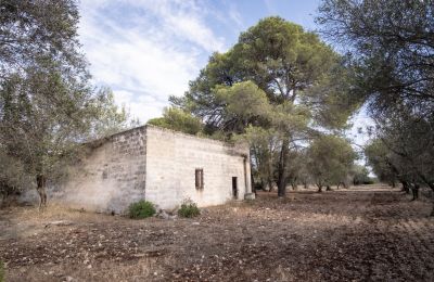 Landhaus kaufen Manduria, Via per Lecce km 2, Apulien, Foto 25/31