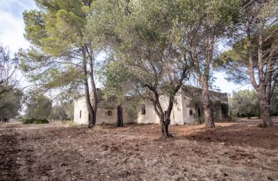 Landhaus kaufen Manduria, Via per Lecce km 2, Apulien, Foto 27/31