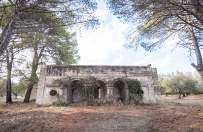 Landhaus kaufen Manduria, Via per Lecce km 2, Apulien, Foto 30/31