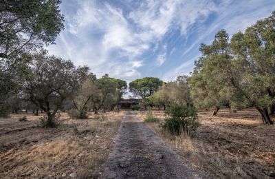 Landhaus kaufen Manduria, Via per Lecce km 2, Apulien, Foto 31/31