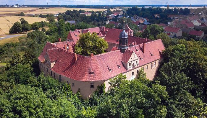 Schloss kaufen Mühlberg/Elbe, Brandenburg,  Deutschland