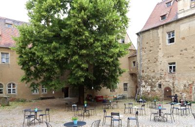 Schloss kaufen Mühlberg/Elbe, Schlossplatz 1, Brandenburg, Foto 8/20