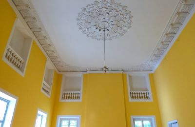 Schloss kaufen Siedlec, Pałac w Siedlcu, Großpolen, Foto 10/20