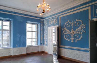Schloss kaufen Siedlec, Pałac w Siedlcu, Großpolen, Salon