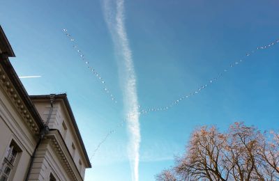 Schloss kaufen Siedlec, Pałac w Siedlcu, Großpolen, Foto 20/20