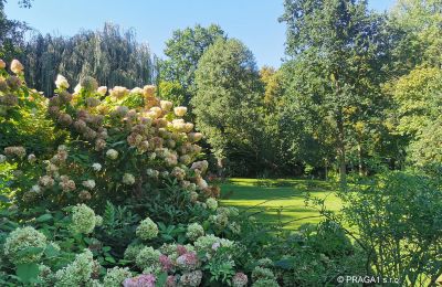 Mühle kaufen Netvořice, okres Benešov, Foto 16/21