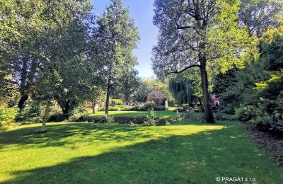 Mühle kaufen Netvořice, okres Benešov, Foto 2/21