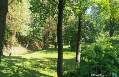 Mühle kaufen Netvořice, okres Benešov, Foto 21/21