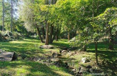 Mühle kaufen Netvořice, okres Benešov, Foto 15/21
