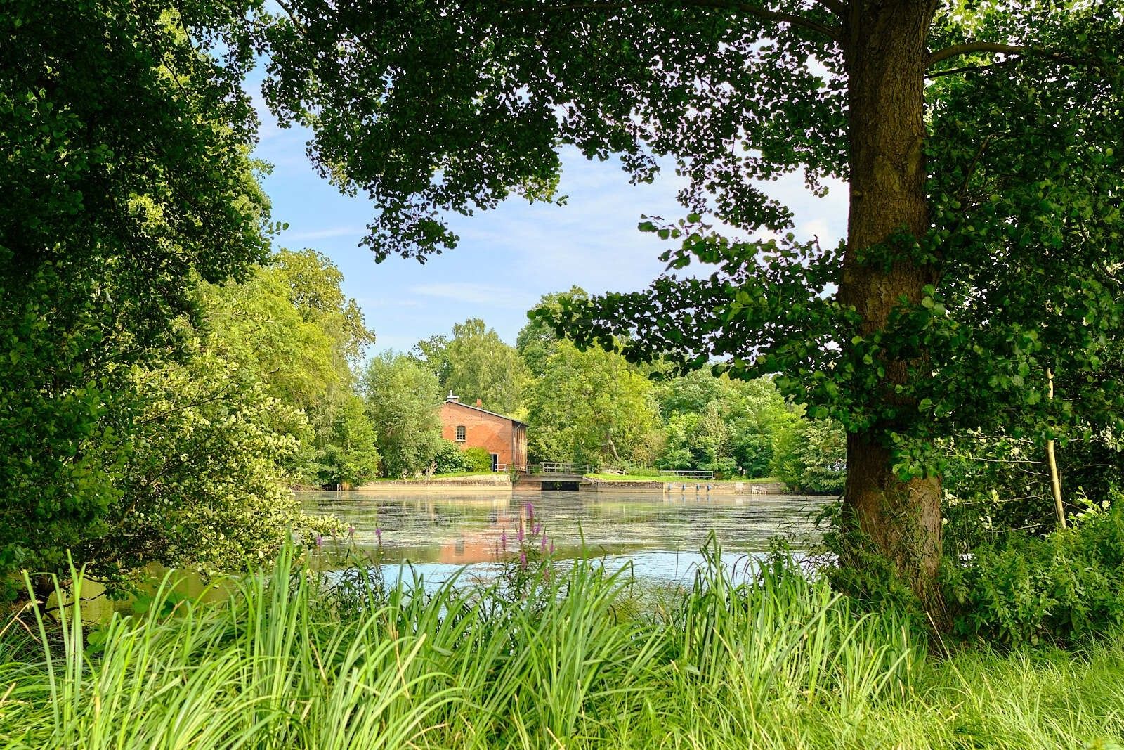 29451 Dannenberg, Niedersachsen zu verkaufen