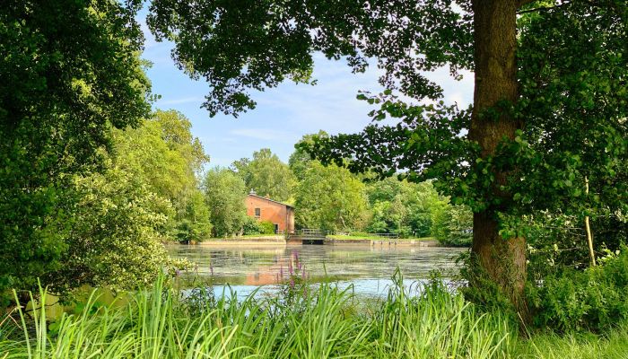 Mühle kaufen 29451 Dannenberg, Niedersachsen,  Deutschland