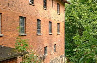 Mühle kaufen 29451 Dannenberg, Niedersachsen, Foto 4/20