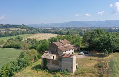 Historische Anwesen, Sanierungsbedürftiges Bauernhaus mit Nebengebäuden und über 9 Hektar Land