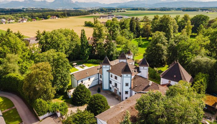 Schloss kaufen 4693 Desselbrunn, Oberösterreich