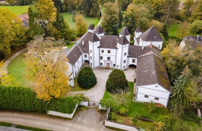 Schloss kaufen 4693 Desselbrunn, Oberösterreich, Drohnenfoto