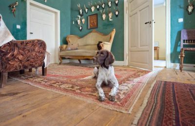 Herrenhaus/Gutshaus kaufen 19386 Kreien, Rosenstraße 32, Mecklenburg-Vorpommern, Wohnbereich