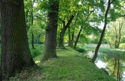 Schloss kaufen Komorowice, Wrocławska 27, Niederschlesien, Foto 19/27