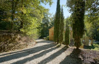 Landhaus kaufen 06019 Umbertide, Umbrien, Foto 22/47