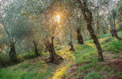 Historische Villa kaufen Loro Ciuffenna, Toskana, Foto 4/35