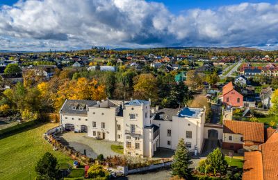 Schloss kaufen Trnová, okres Praha-západ, Drohnenfoto