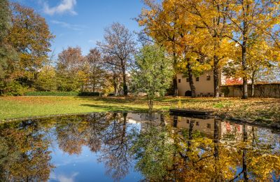 Schloss kaufen Trnová, okres Praha-západ, Foto 40/53