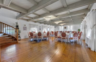 Schloss kaufen Trnová, okres Praha-západ, Großer Saal