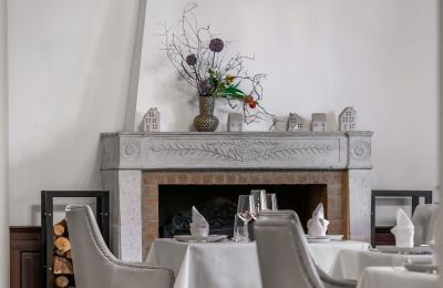 Schloss kaufen Trnová, okres Praha-západ, Kamin