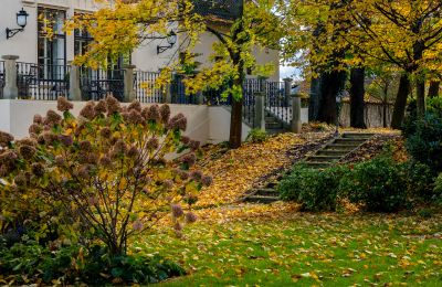 Schloss kaufen Trnová, okres Praha-západ, Foto 49/53