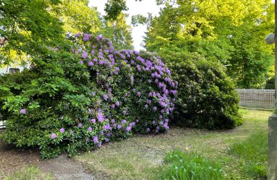 Historische Villa kaufen Koszalin, Marszałka Józefa Piłsudskiego  51, Westpommern, Foto 27/33