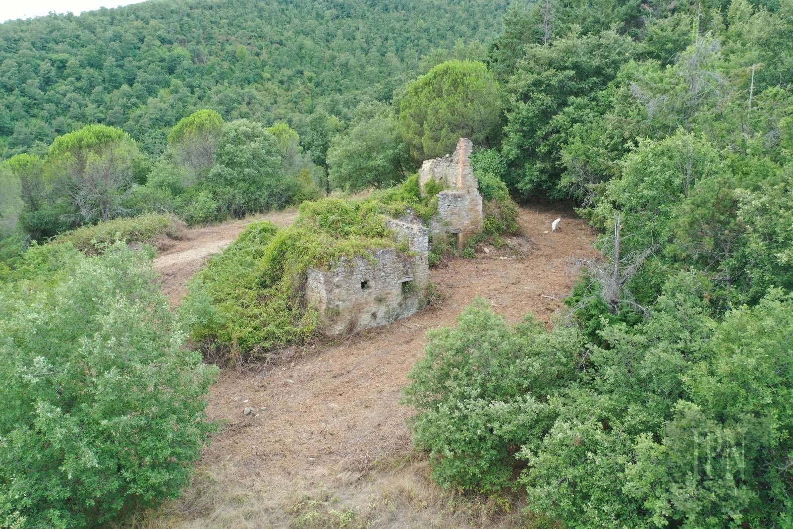 Fotos Landhaus in Pian di Marte mit Ruine und 2,8 ha Grundstück