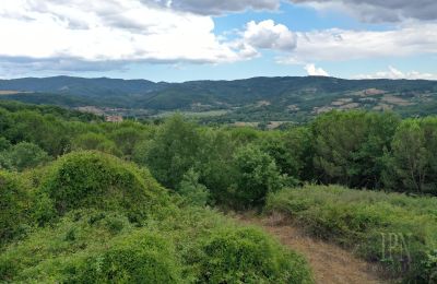 Landhaus kaufen 06060 Pian di Marte, Umbrien, Foto 9/14