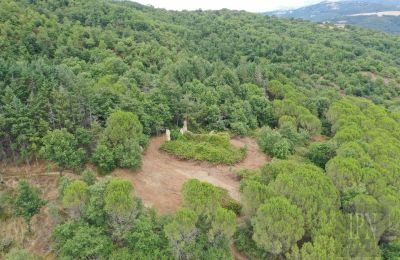 Landhaus kaufen 06060 Pian di Marte, Umbrien, Foto 10/14