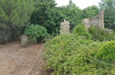 Landhaus kaufen 06060 Pian di Marte, Umbrien, Foto 13/14