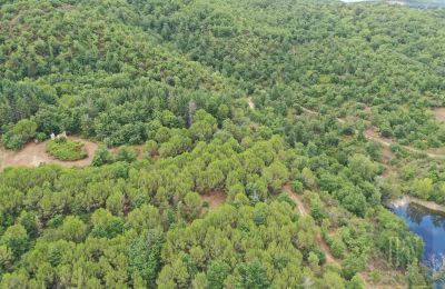 Landhaus kaufen 06060 Pian di Marte, Umbrien, Foto 14/14