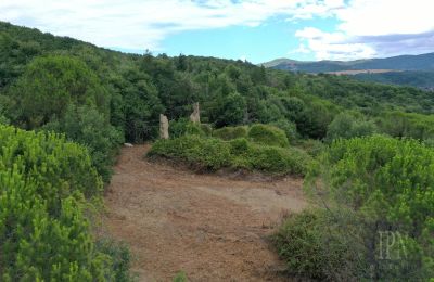 Landhaus kaufen 06060 Pian di Marte, Umbrien, Foto 2/14