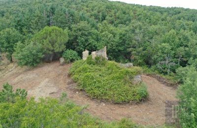 Landhaus kaufen 06060 Pian di Marte, Umbrien, Foto 3/14