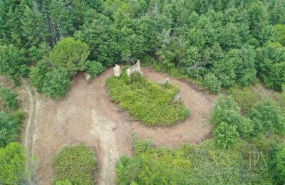 Landhaus kaufen 06060 Pian di Marte, Umbrien, Foto 5/14