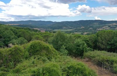 Landhaus kaufen 06060 Pian di Marte, Umbrien, Foto 6/14