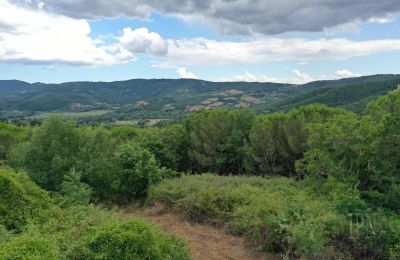 Landhaus kaufen 06060 Pian di Marte, Umbrien, Foto 7/14