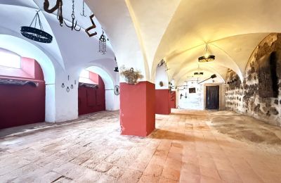 Burg kaufen San Vicente de Alcántara, Extremadura, Foto 16/36