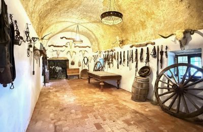 Burg kaufen San Vicente de Alcántara, Extremadura, Foto 18/36