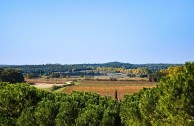 Burg kaufen Pouzilhac, Okzitanien, Foto 43/43