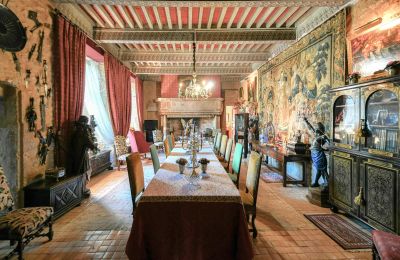 Burg kaufen Pouzilhac, Okzitanien, Foto 4/43