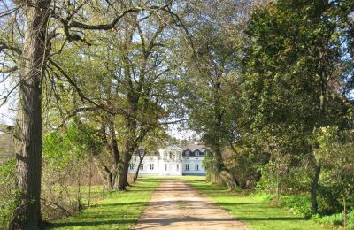 Herrenhaus/Gutshaus kaufen Mołomotki-Dwór, Masowien, Foto 6/16