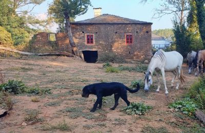 Herrgård till salu Galicien, Bild 12/48