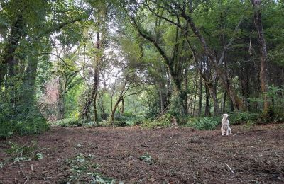 Herrgård till salu Galicien, Bild 48/48