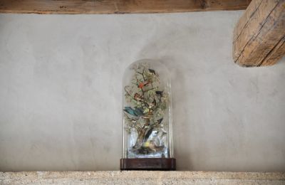 Historische Immobilie kaufen Uzès, Okzitanien, Foto 26/46